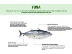Dinkes Makassar Paparkan Manfaat Konsumsi Ikan Tuna